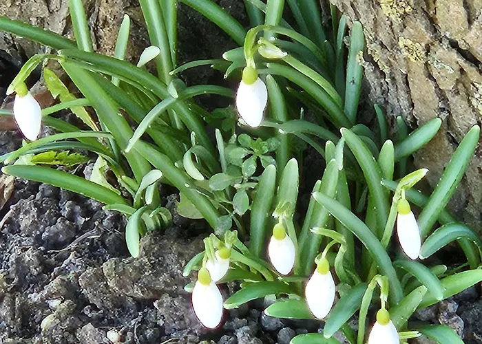 Meeresfeeling In Apartamento Horumersiel