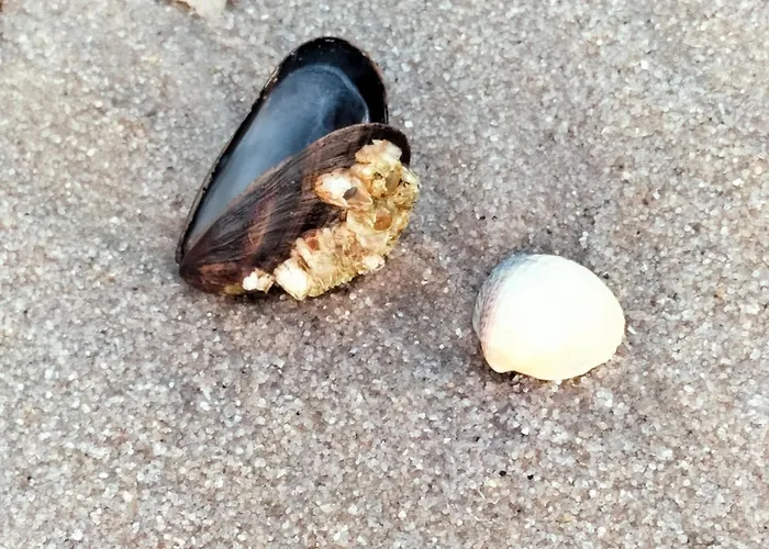 Meeresfeeling In * Horumersiel